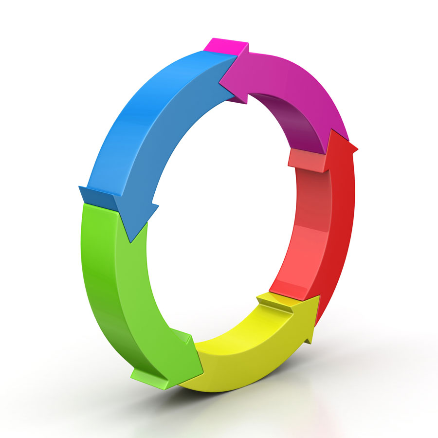 Life Cycle Management Life Cycle Management